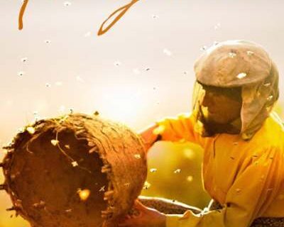 Honeyland